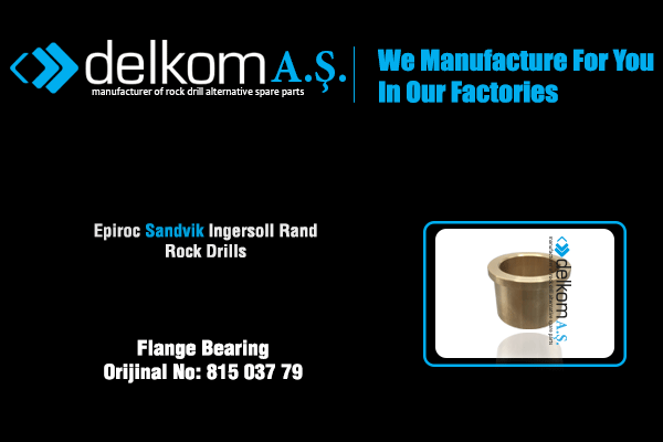 Flange Bearing