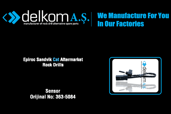 Sensor