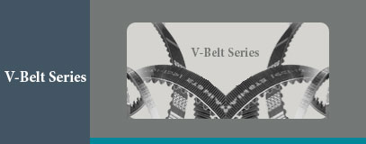 V-Belt Series