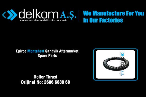 Şank Yatağı Rulmanı